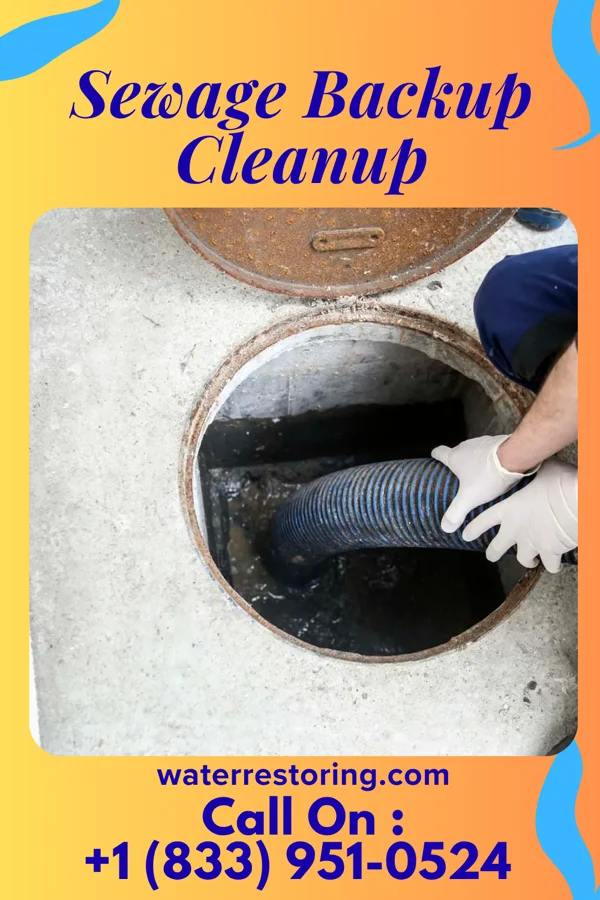 Sewage Backup Cleanup in Loma Grande, TX